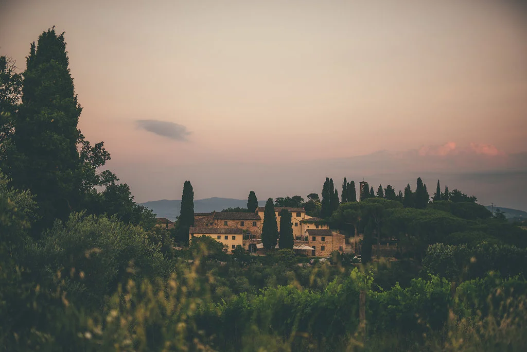 WeddingMangiacane(721).jpg