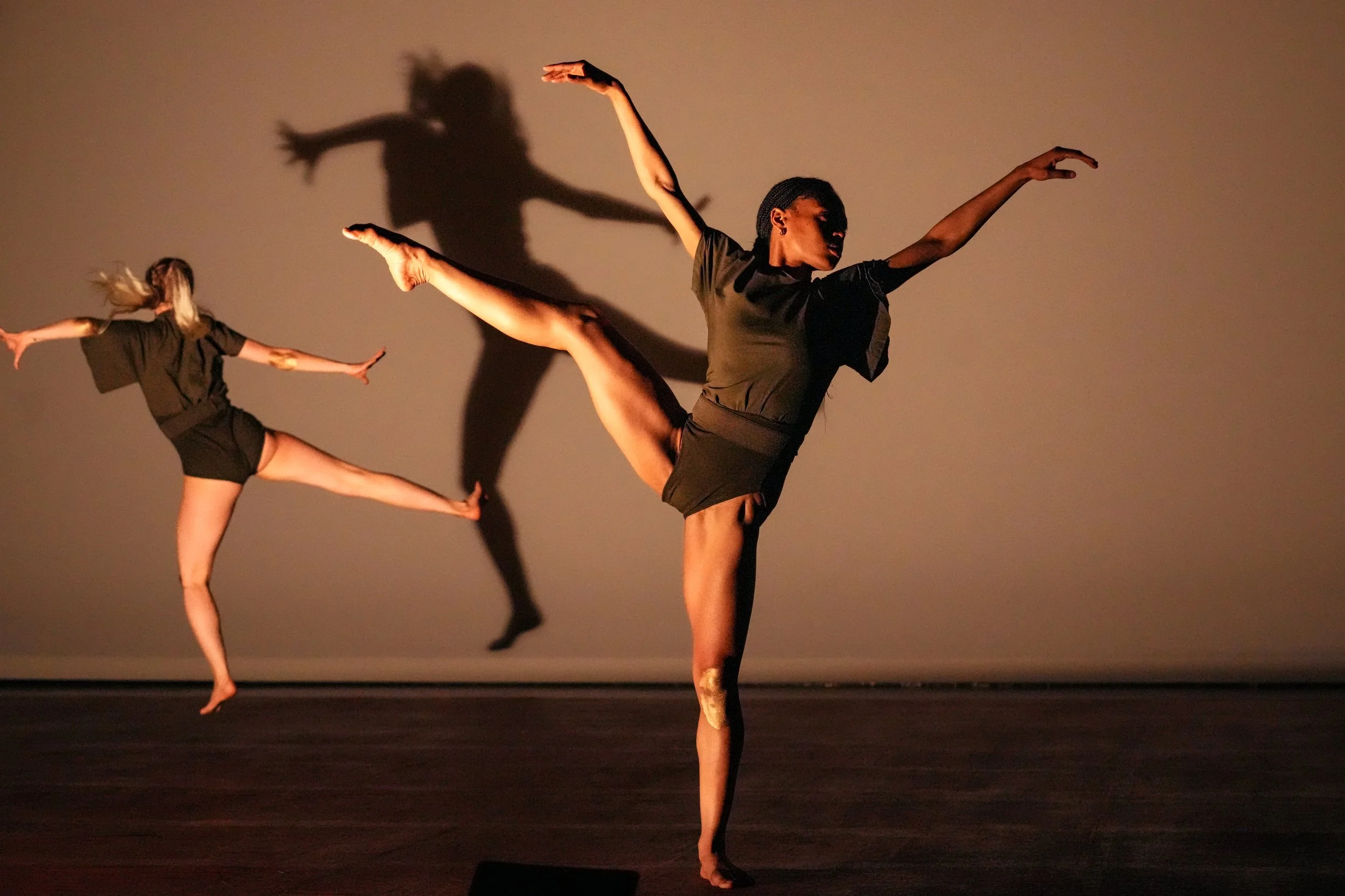 BODIES OF MATTER Performance at the Harris Theater