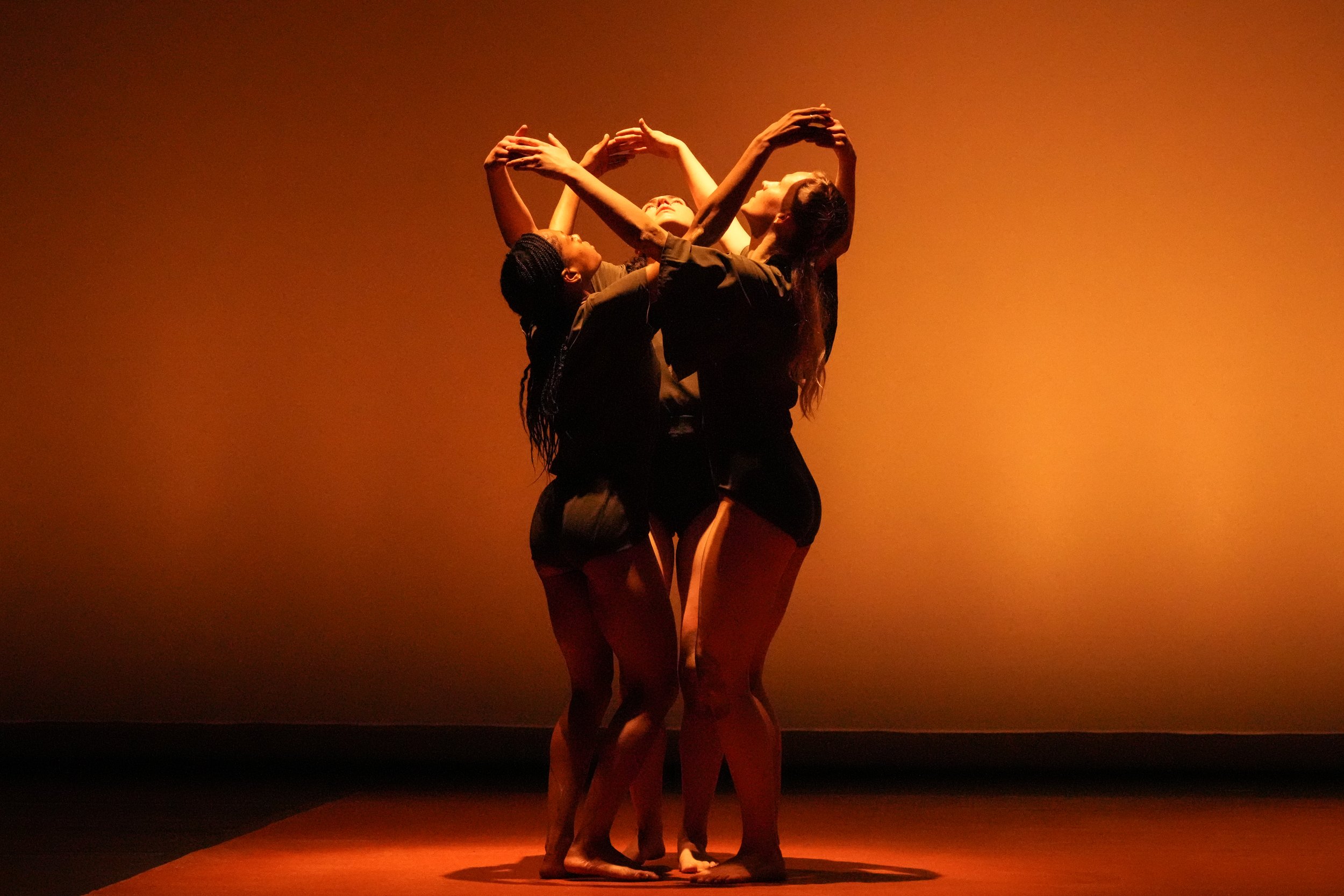 Mixed Program Performance at Dance Victoria