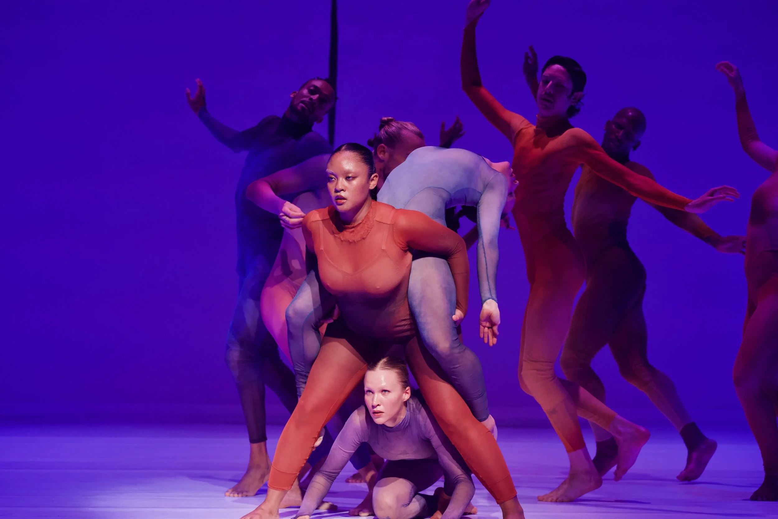 Copy of Photo by Justin Chao Day 29.jpeg