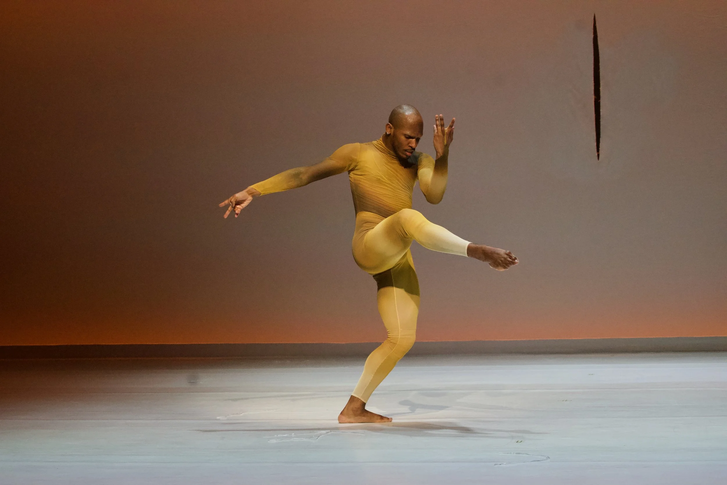 Photo by Justin Chao Day 35.jpeg