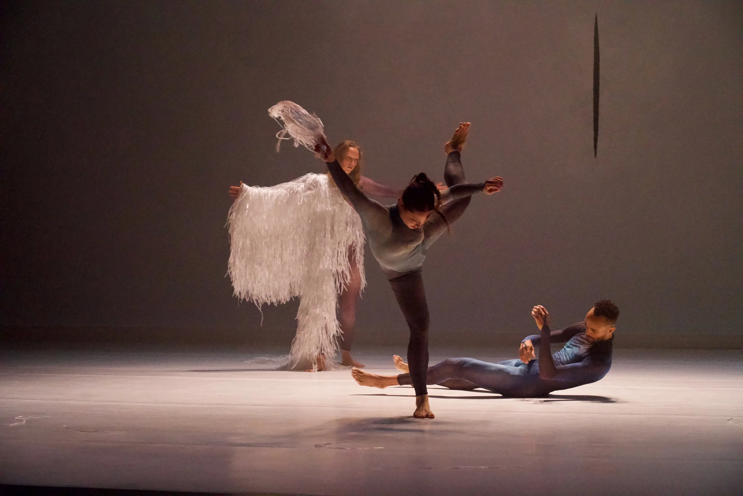 Photo by Justin Chao Day 40.jpeg