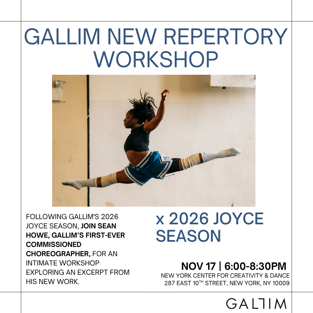 GALLIM WORKSHOP WITH SEAN HOWE