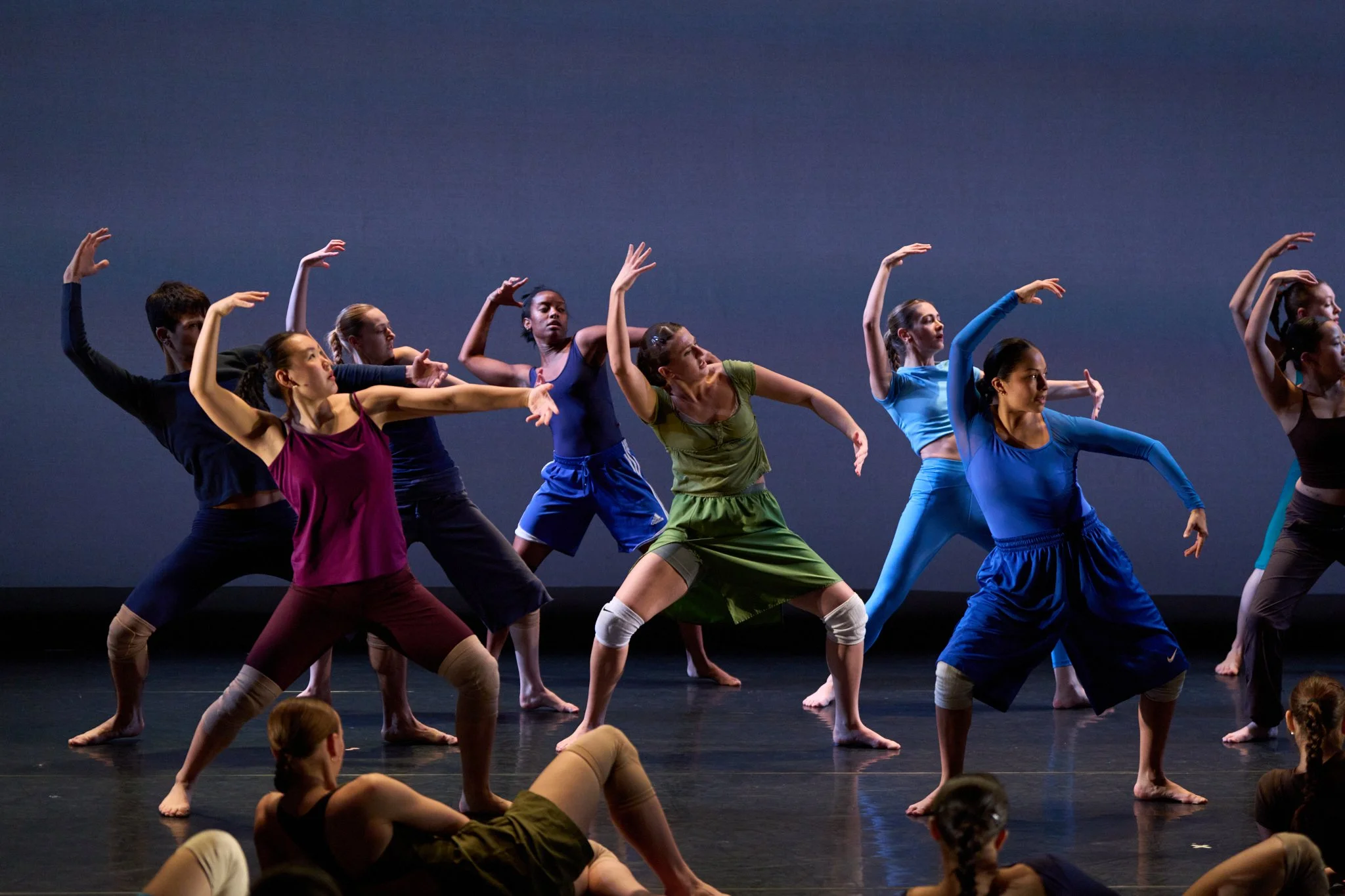 Gallim Jan 10, 2026 0133.jpg