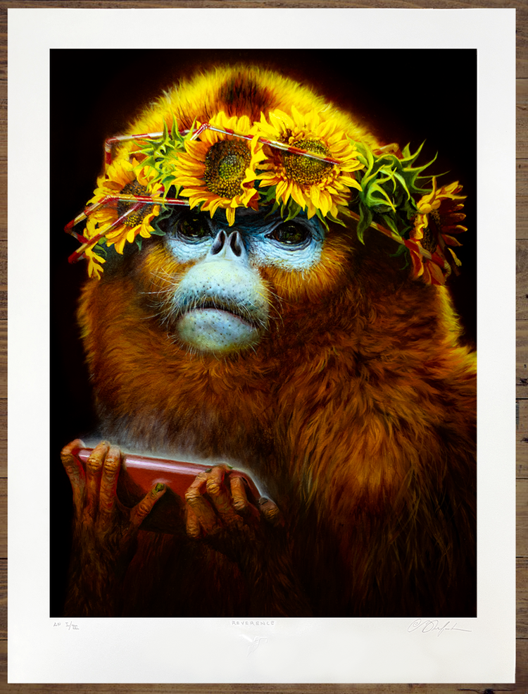 Reverence - Limited Edition print — MARTIN WITTFOOTH