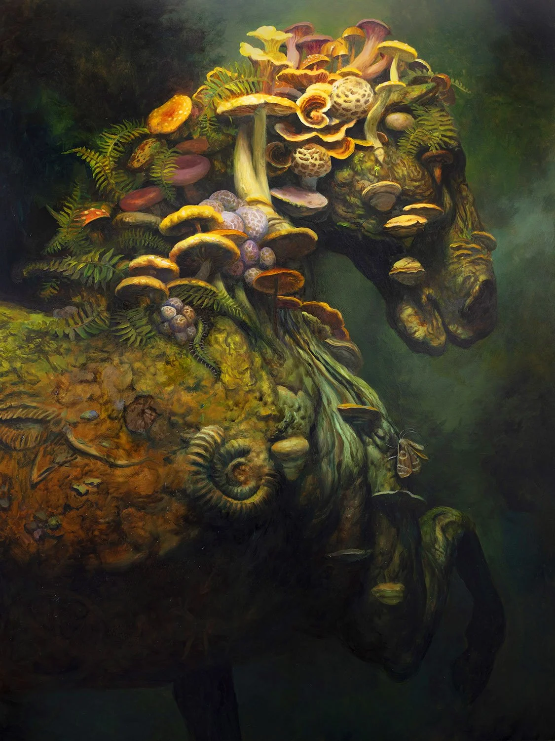 Aspect of Earth
