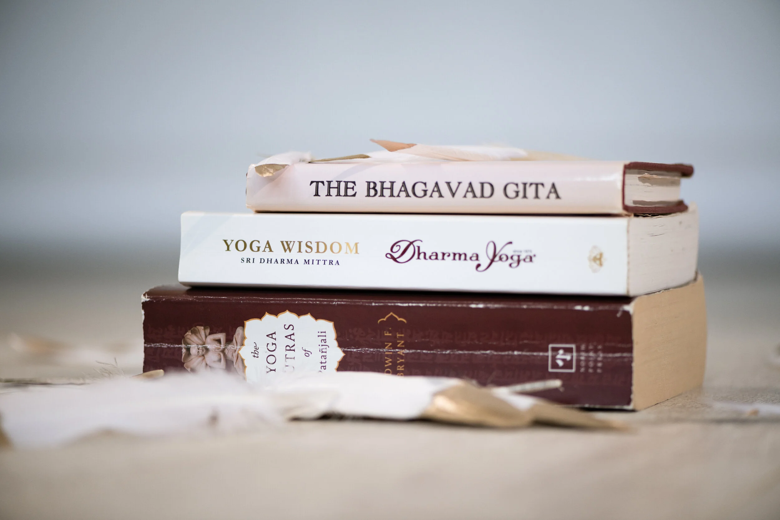 An overview of Chapters 1 and 2 of the Yoga Sutras - the foundations