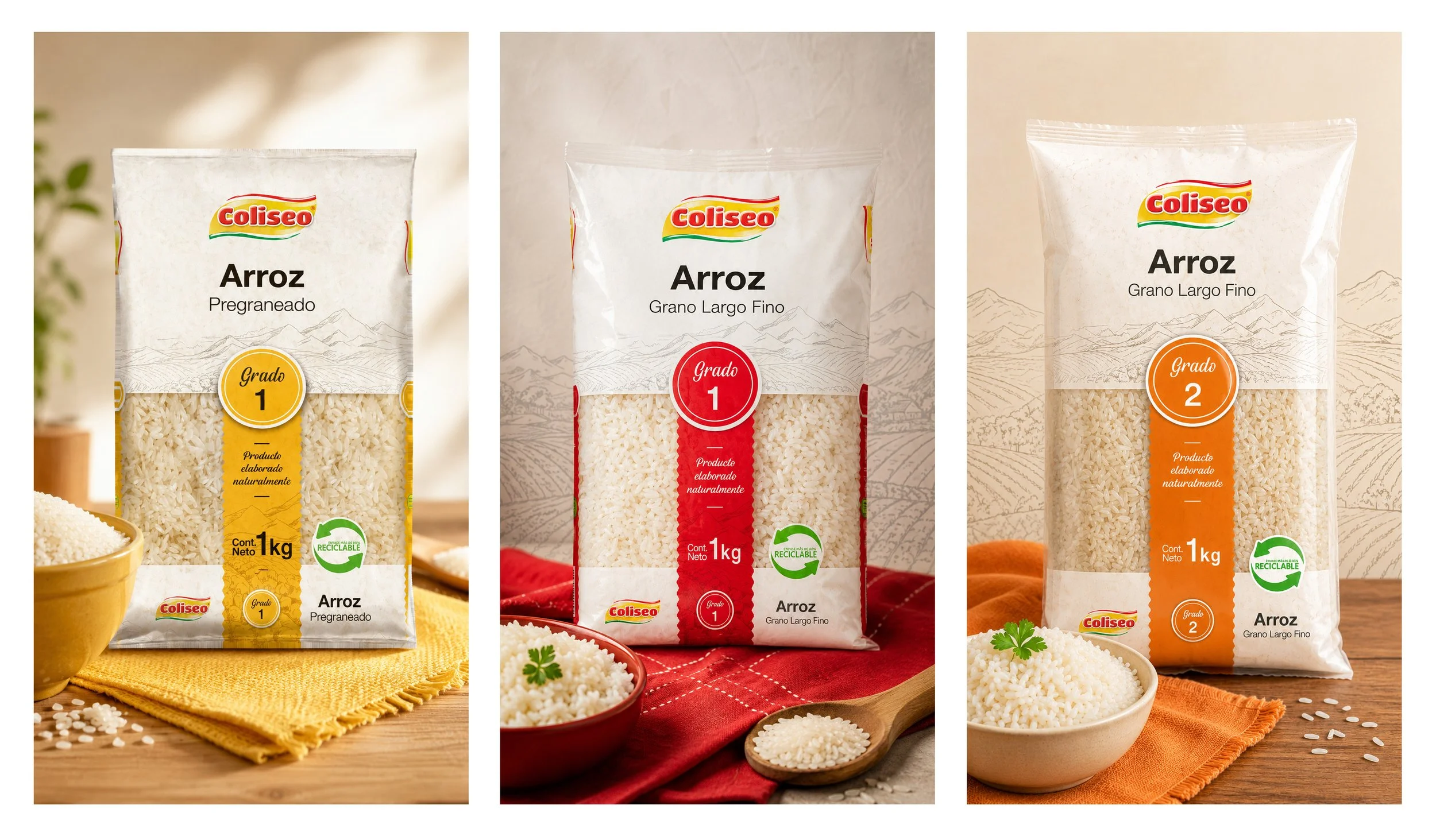 Coliseo-Arroz indiv montaje.jpg