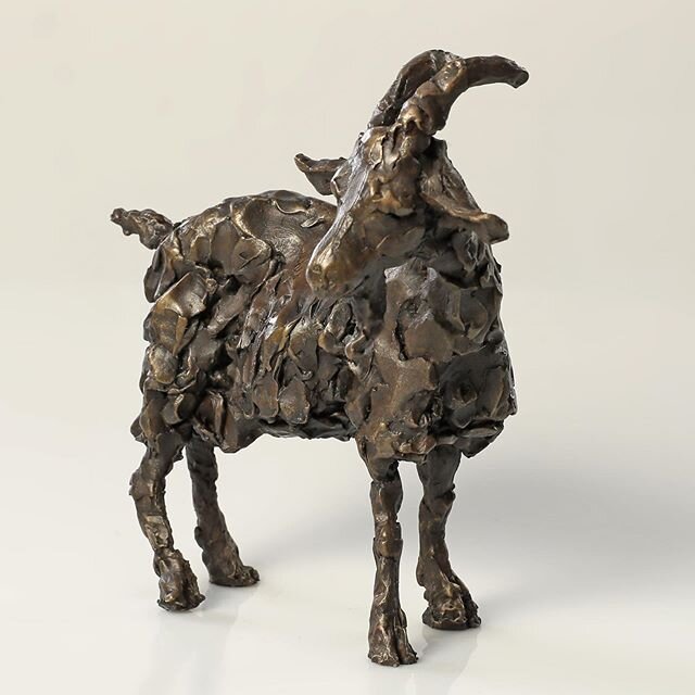 My next sculpture offered as part of the #artistsupportpledge is this bronze resin Goat. H20cm L23cm. &pound;195 plus postage.  Please DM me if you are interested. #artistsupportpledge #goat #goatsofinstagram #sculpture #lockdownart