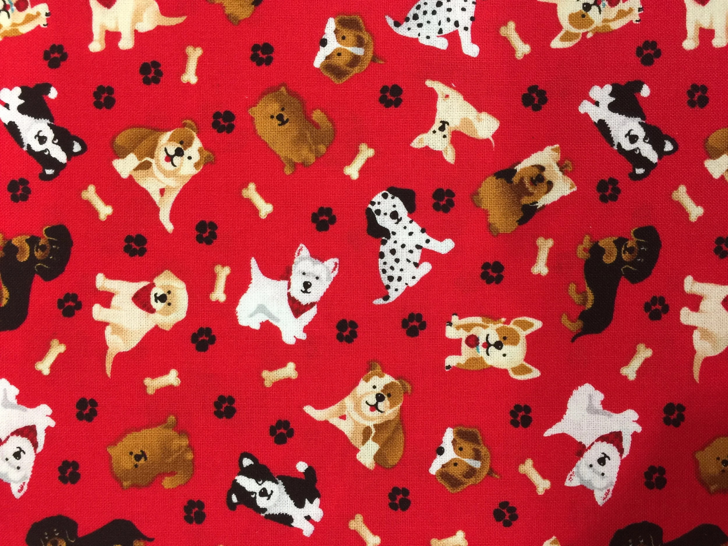 Everyday Bandanas 068.JPG