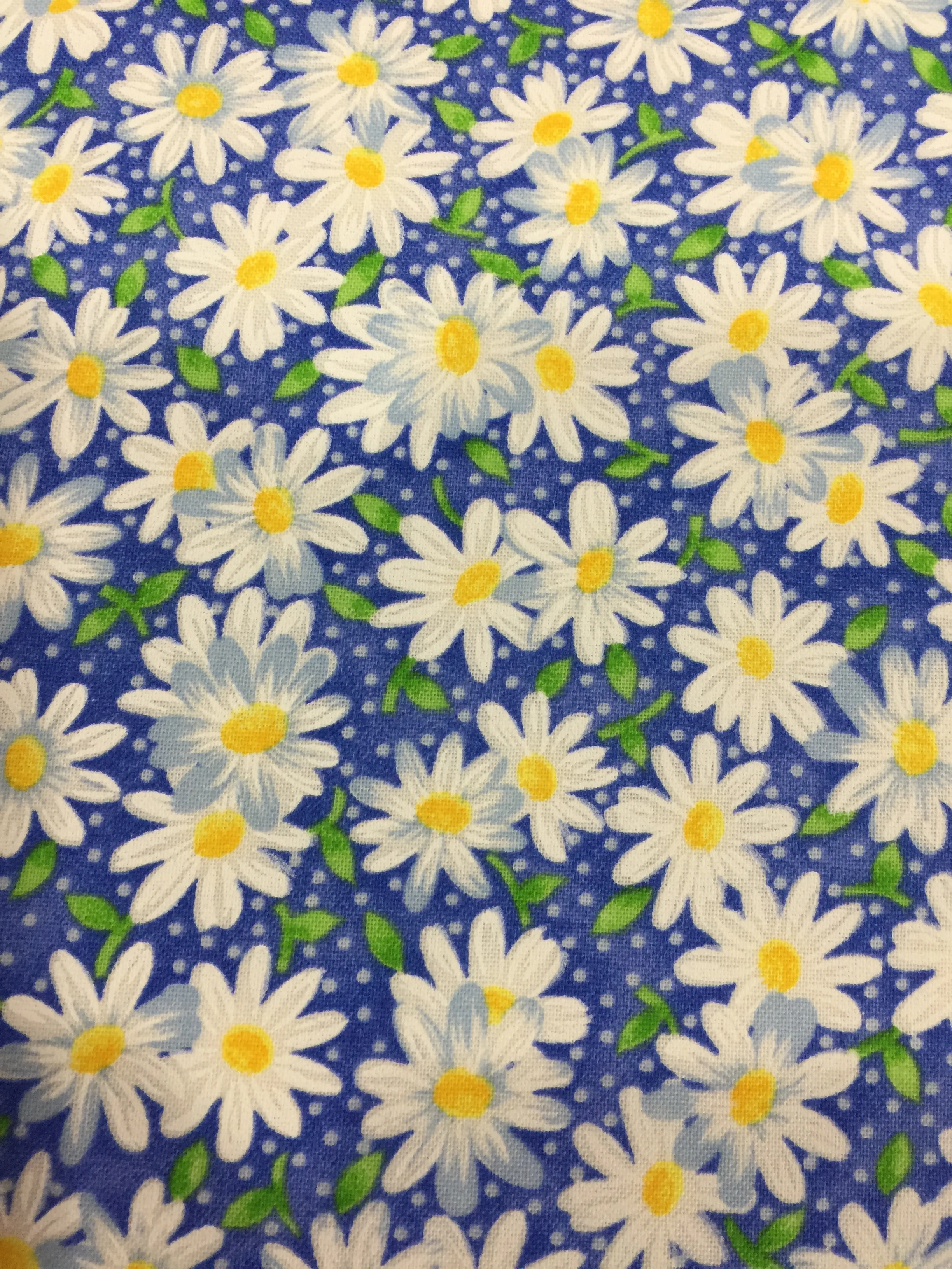 Blanket Photos 011.JPG