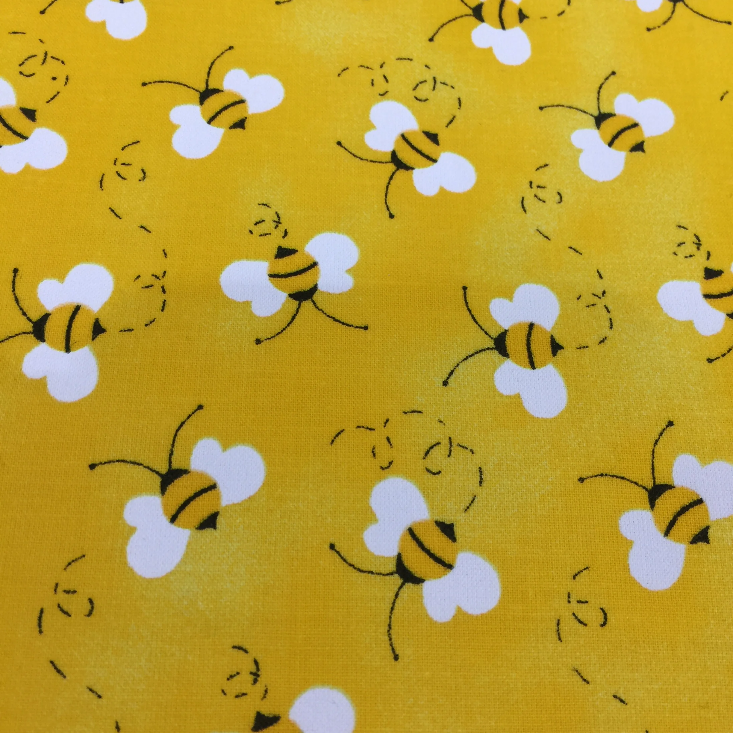 Blanket Photos 009.JPG