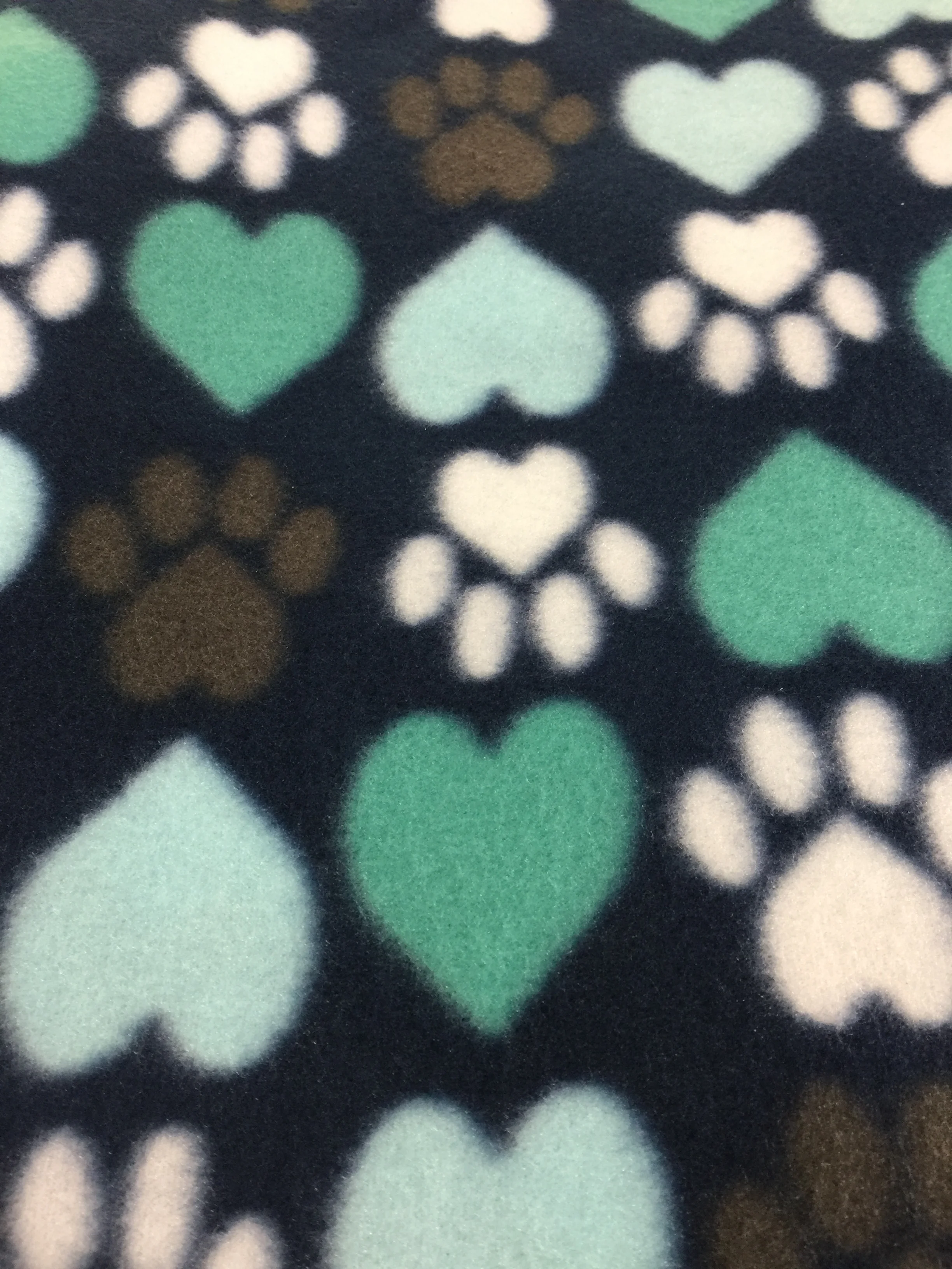 Blanket Photos 015.JPG