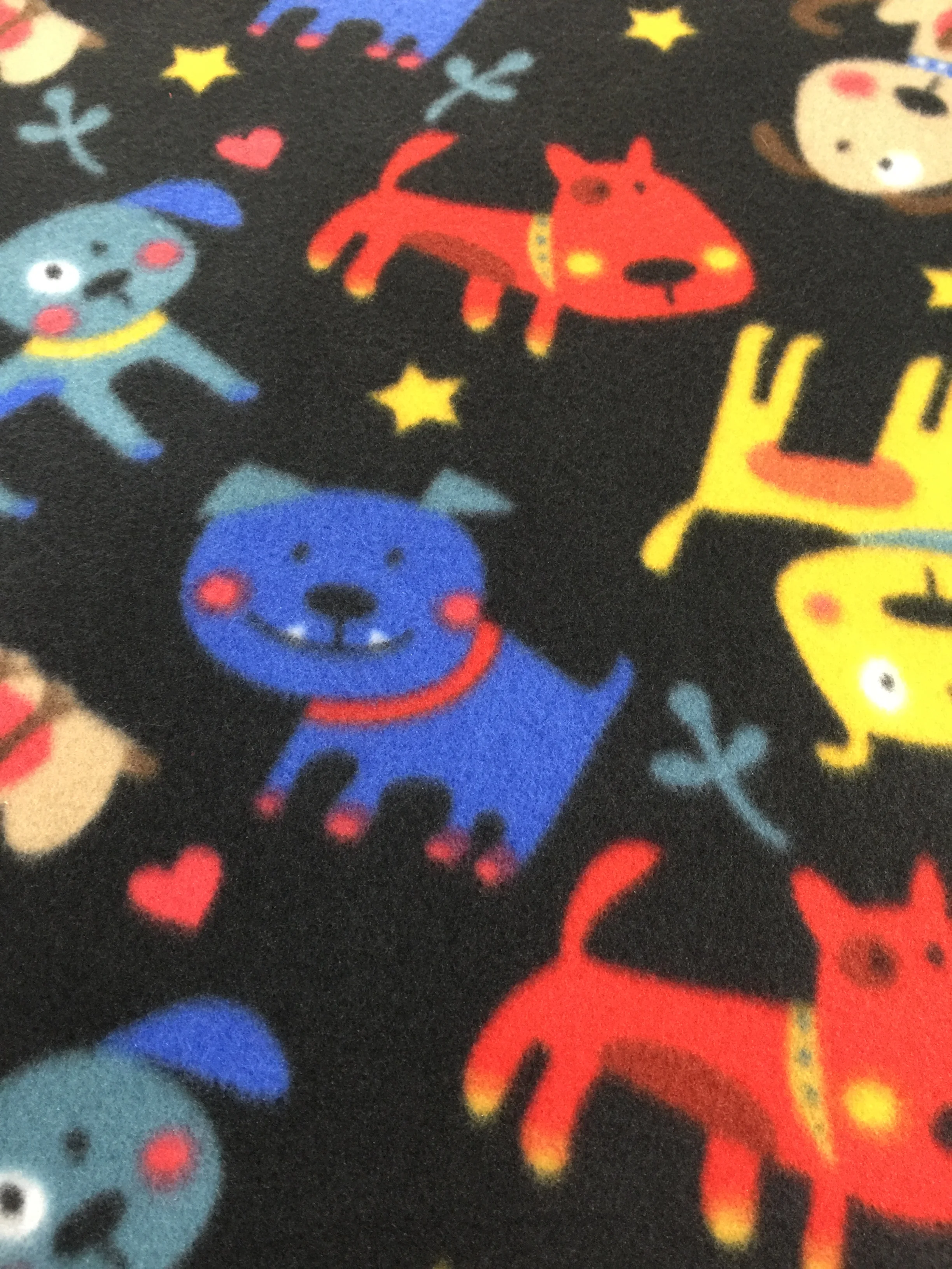 Blanket Photos 022.JPG