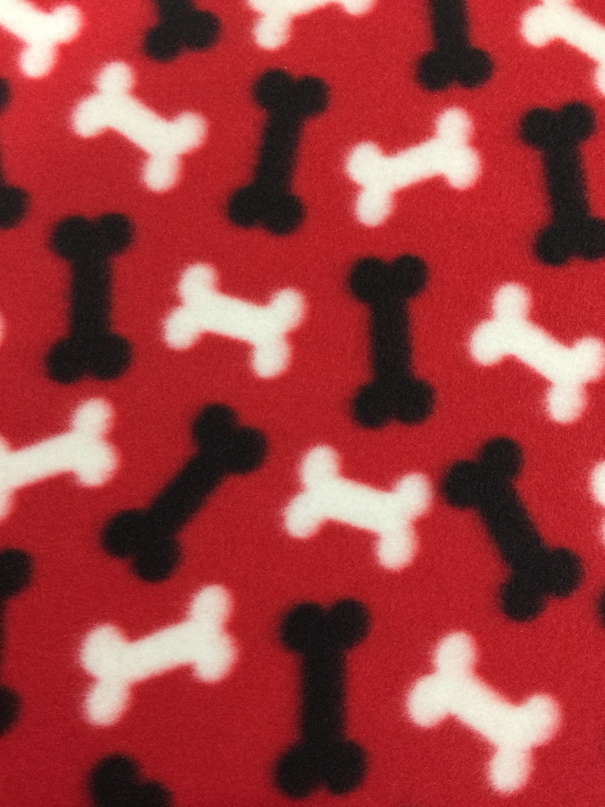 Blanket Photos 029.JPG