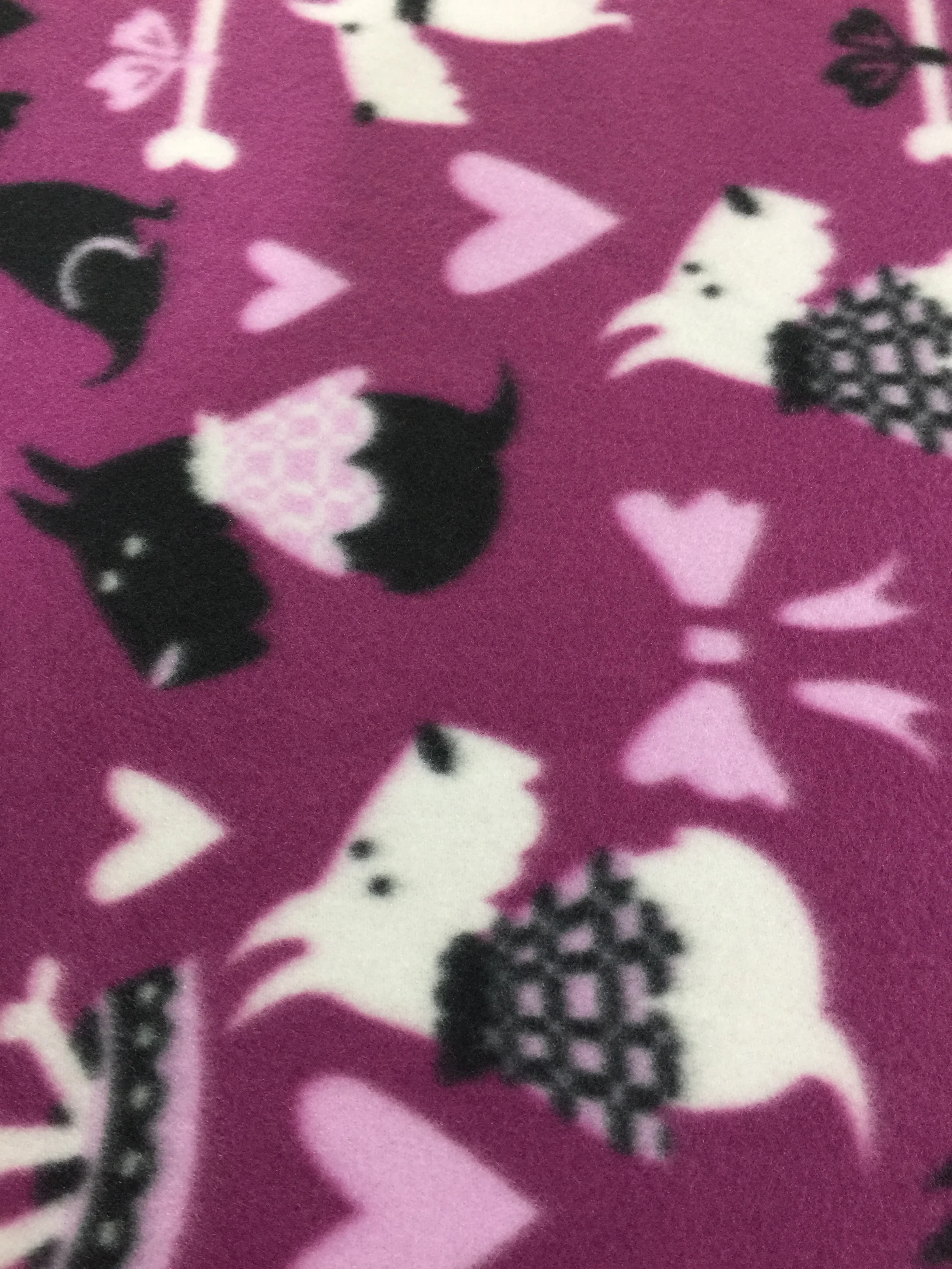 Blanket Photos 031.JPG