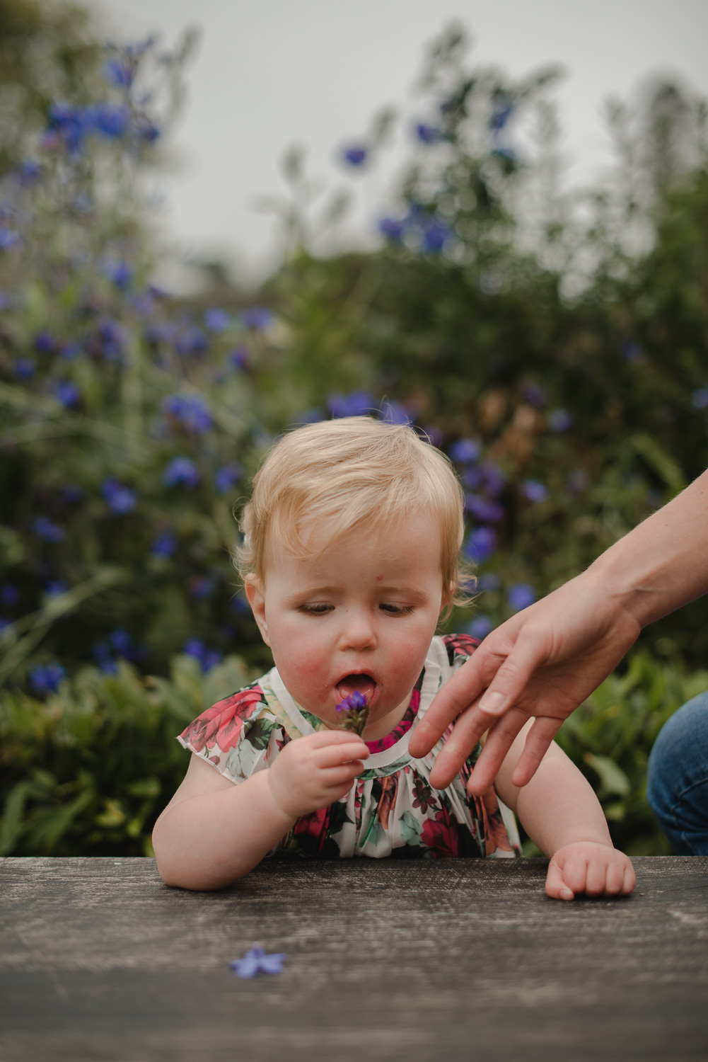 Northern-ireland-family-photographer-36.jpg