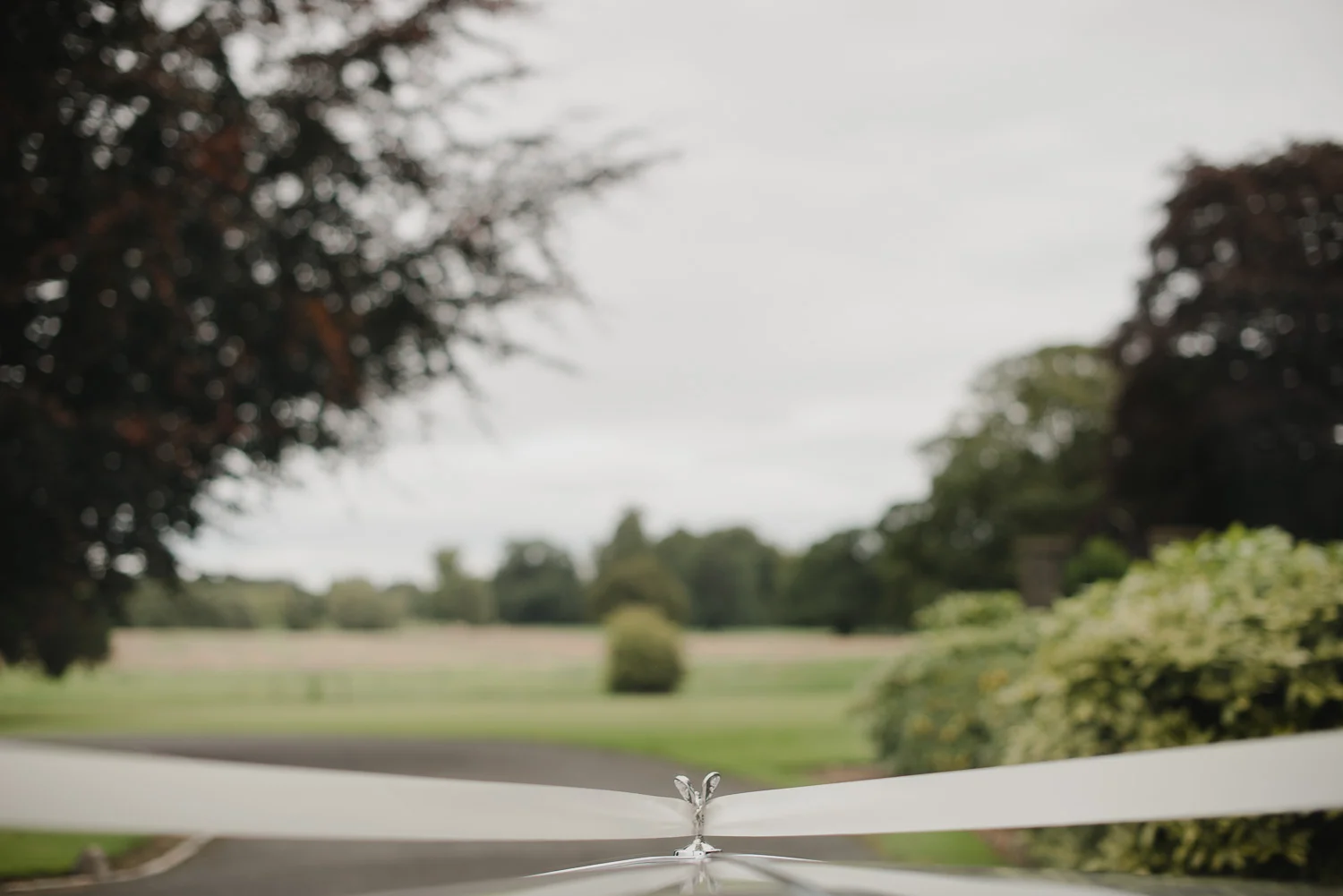 luttrellstown-castle-ireland-wedding-photographer-63.jpg