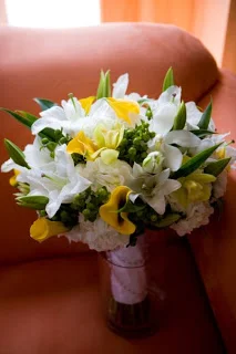 yellow2.jpg