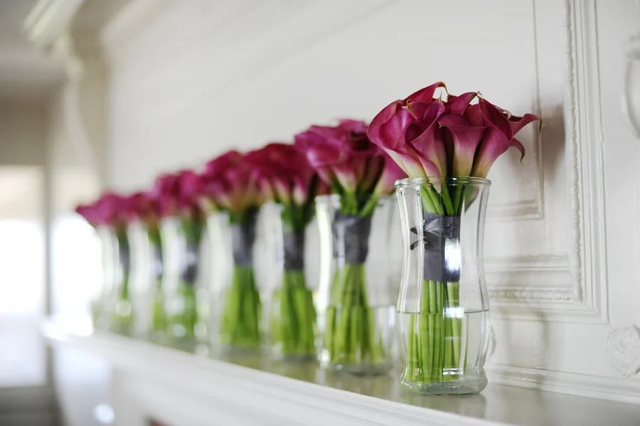 pink calla.jpg