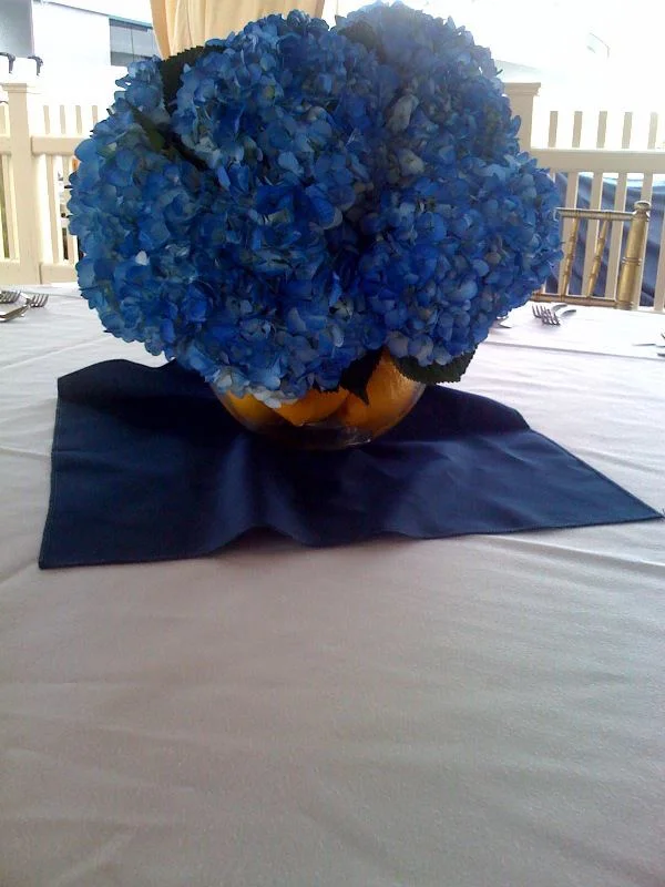 blue4.jpg
