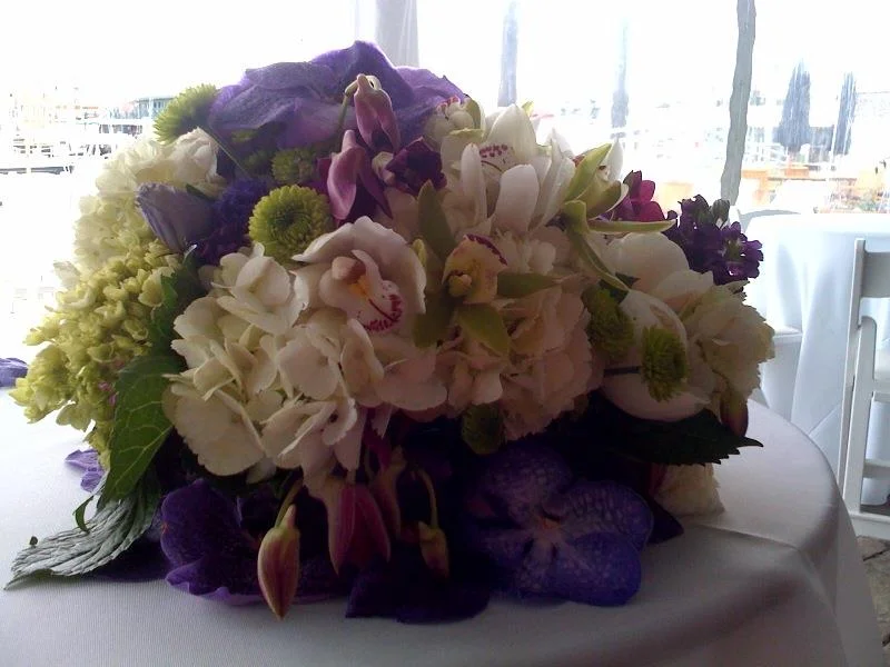 purple vanda.jpg
