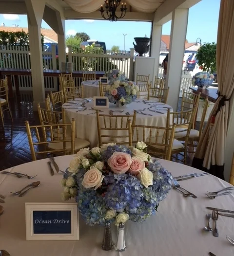hydrangea blue.JPG