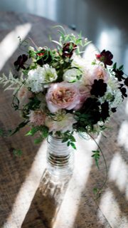 Matthew Ferrara Photography