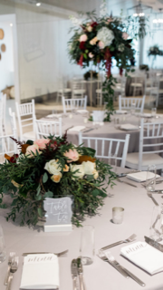 Matthew Ferrara Photography