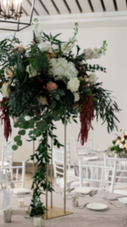 Matthew Ferrara Photography