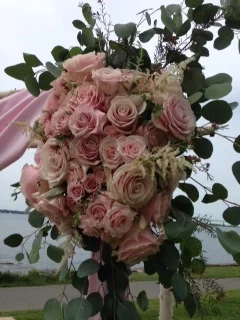 pink arbor.JPG