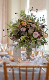 Dani Fine Photography