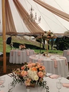 peach tent.JPG