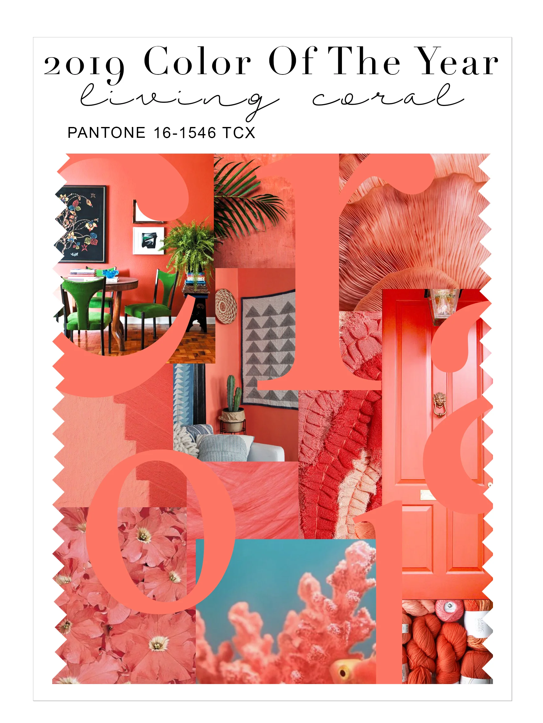 LivingCoral_pantone chip collage.jpg