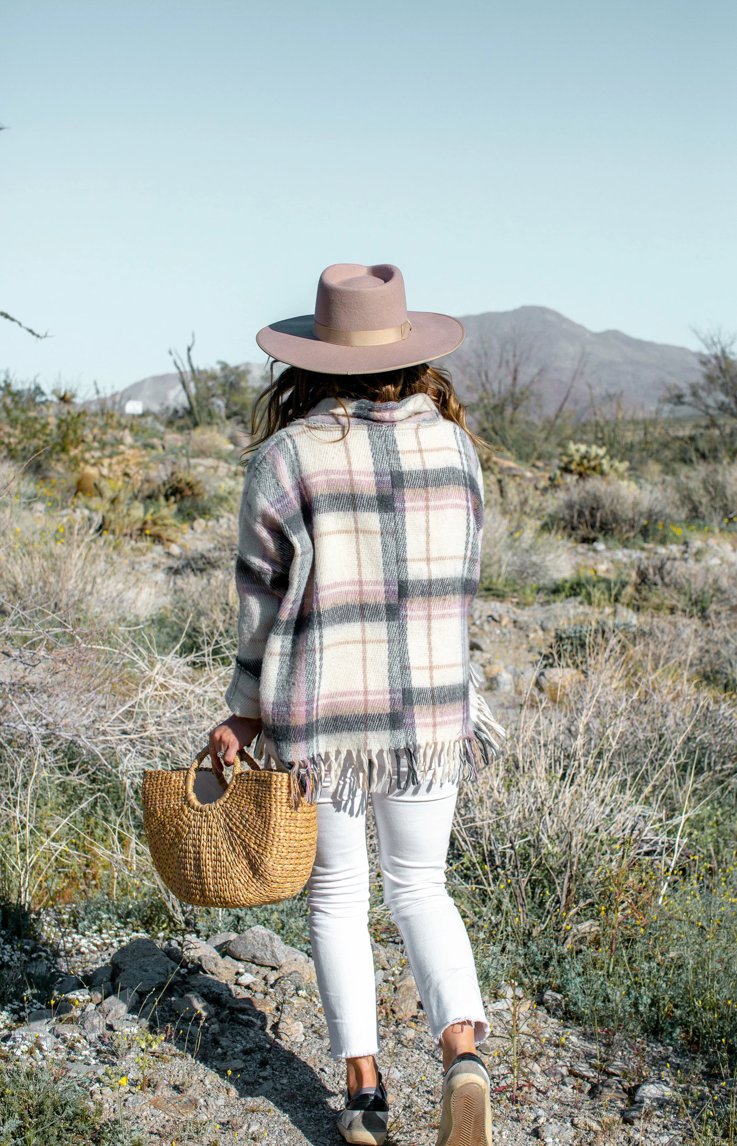 fizz-fade-super-bloom-desert-2.jpg