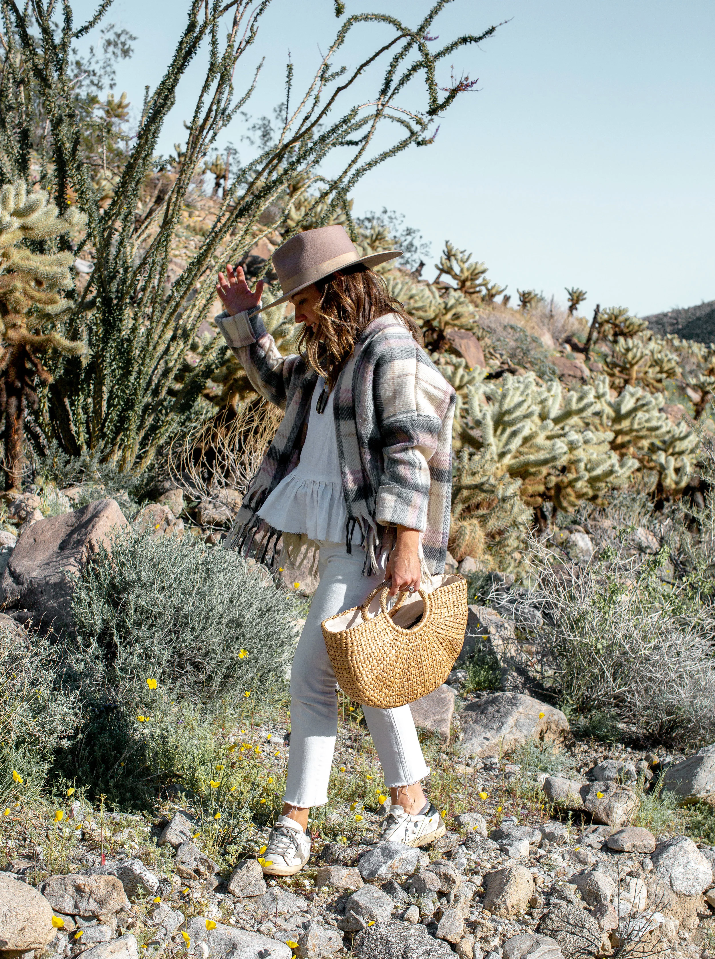 fizz-fade-super-bloom-desert-6.jpg