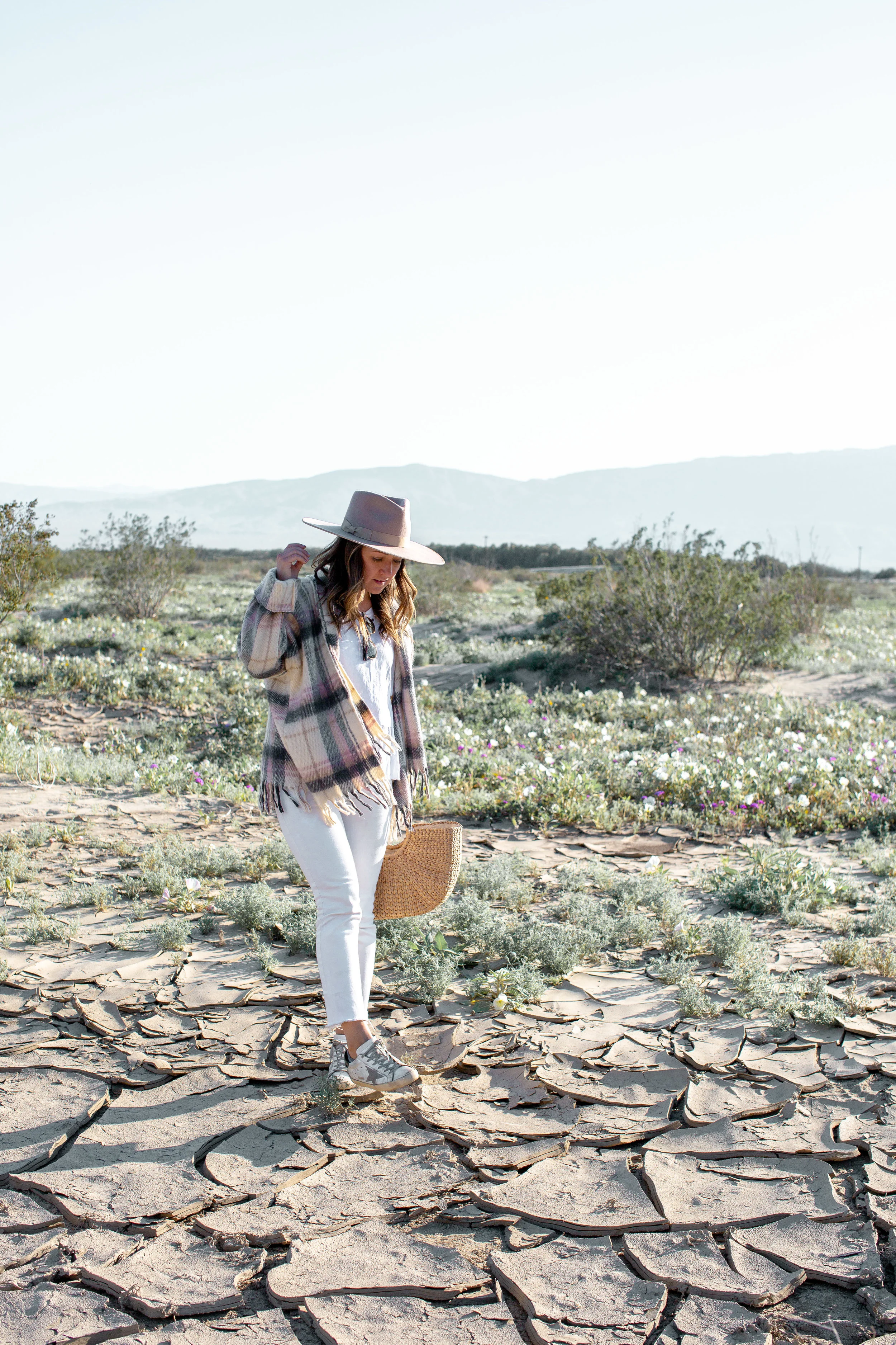 fizz-fade-super-bloom-desert-10.jpg