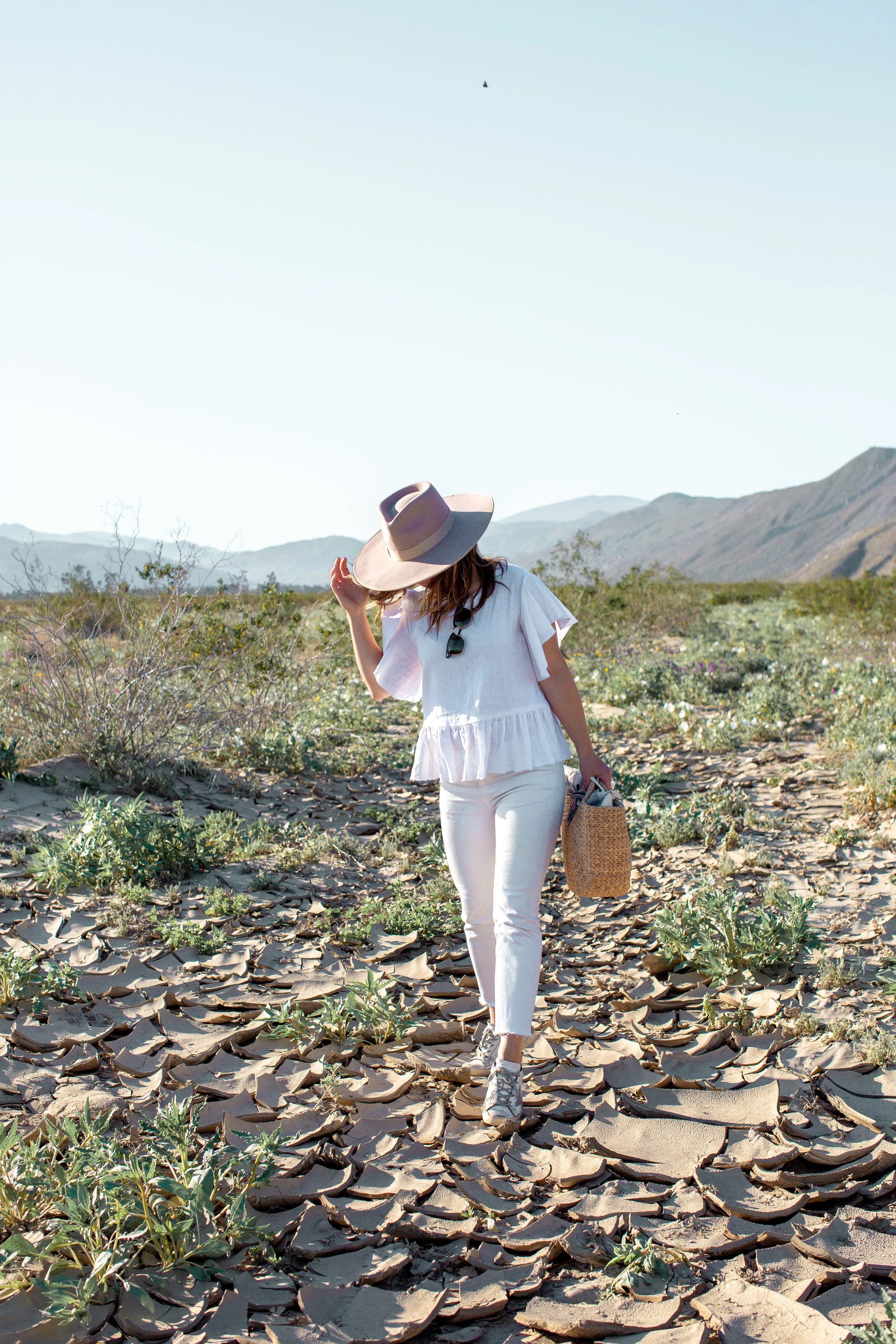 fizz-fade-super-bloom-desert-16.jpg
