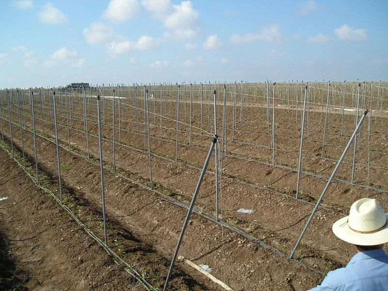 EcoStak Agricultural Stake