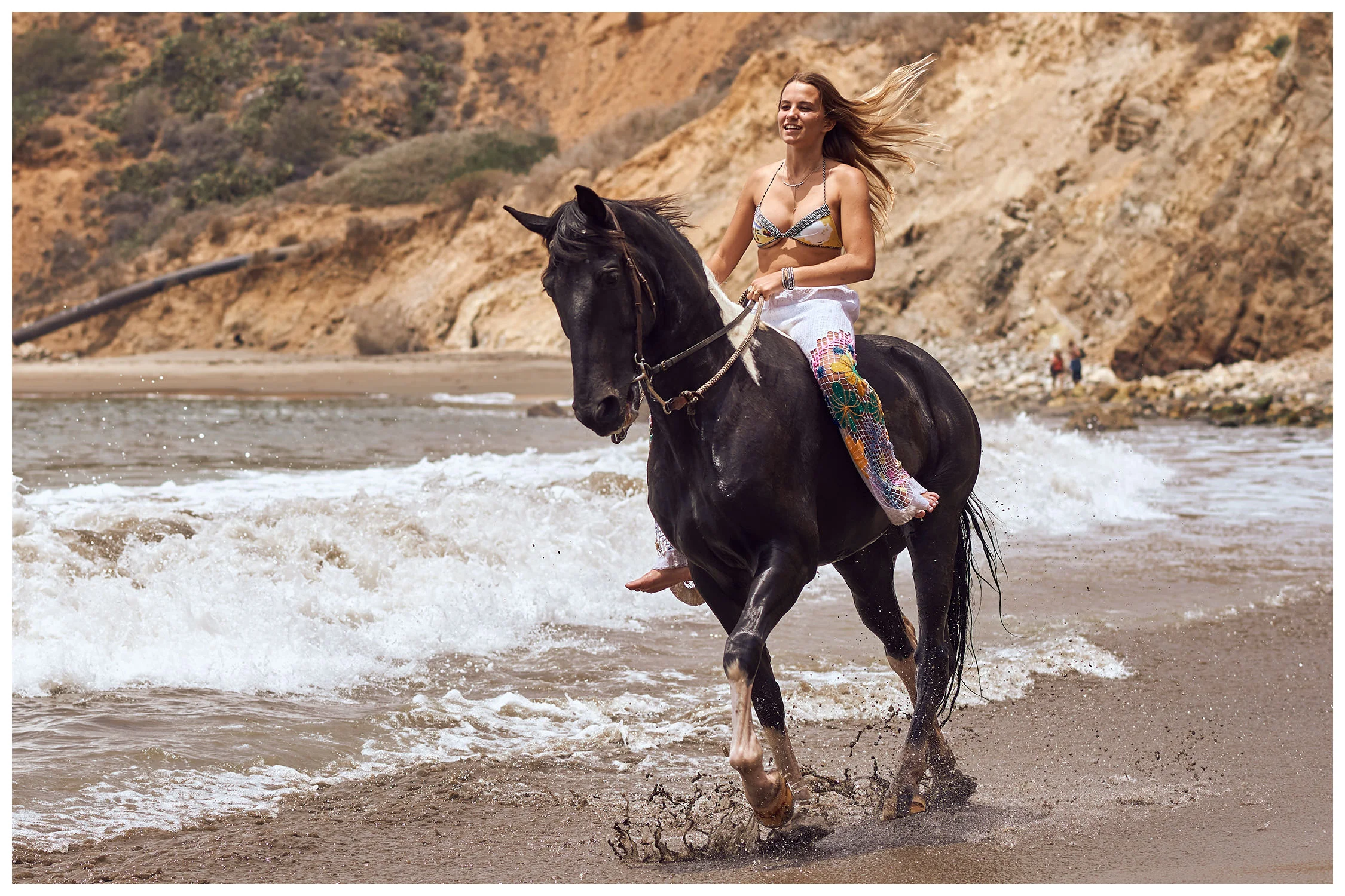 equine-4.jpg