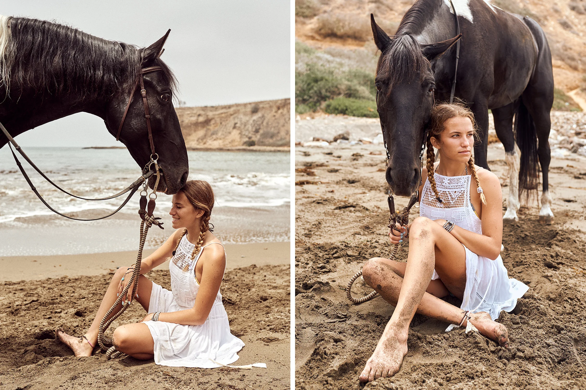 equine-5.jpg