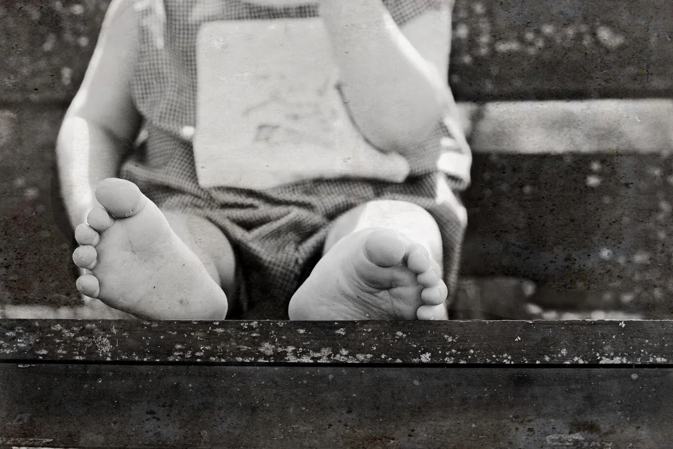 3709067584_dfb3f2f384_o 2.JPG