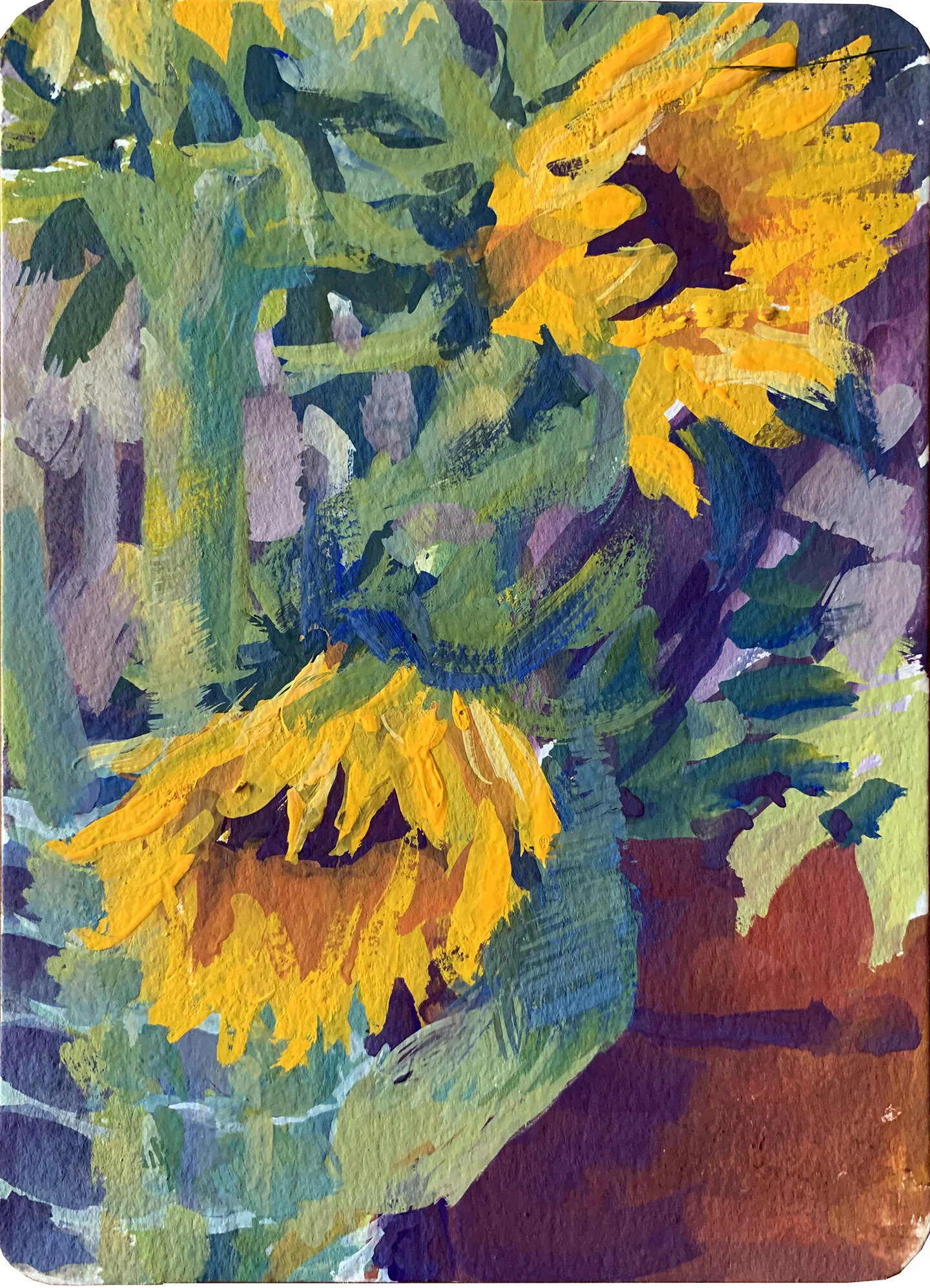    SUNFLOWER STUDY    - 5 x 7 gouche on illustration board, PRIVATE COLLECTION 
