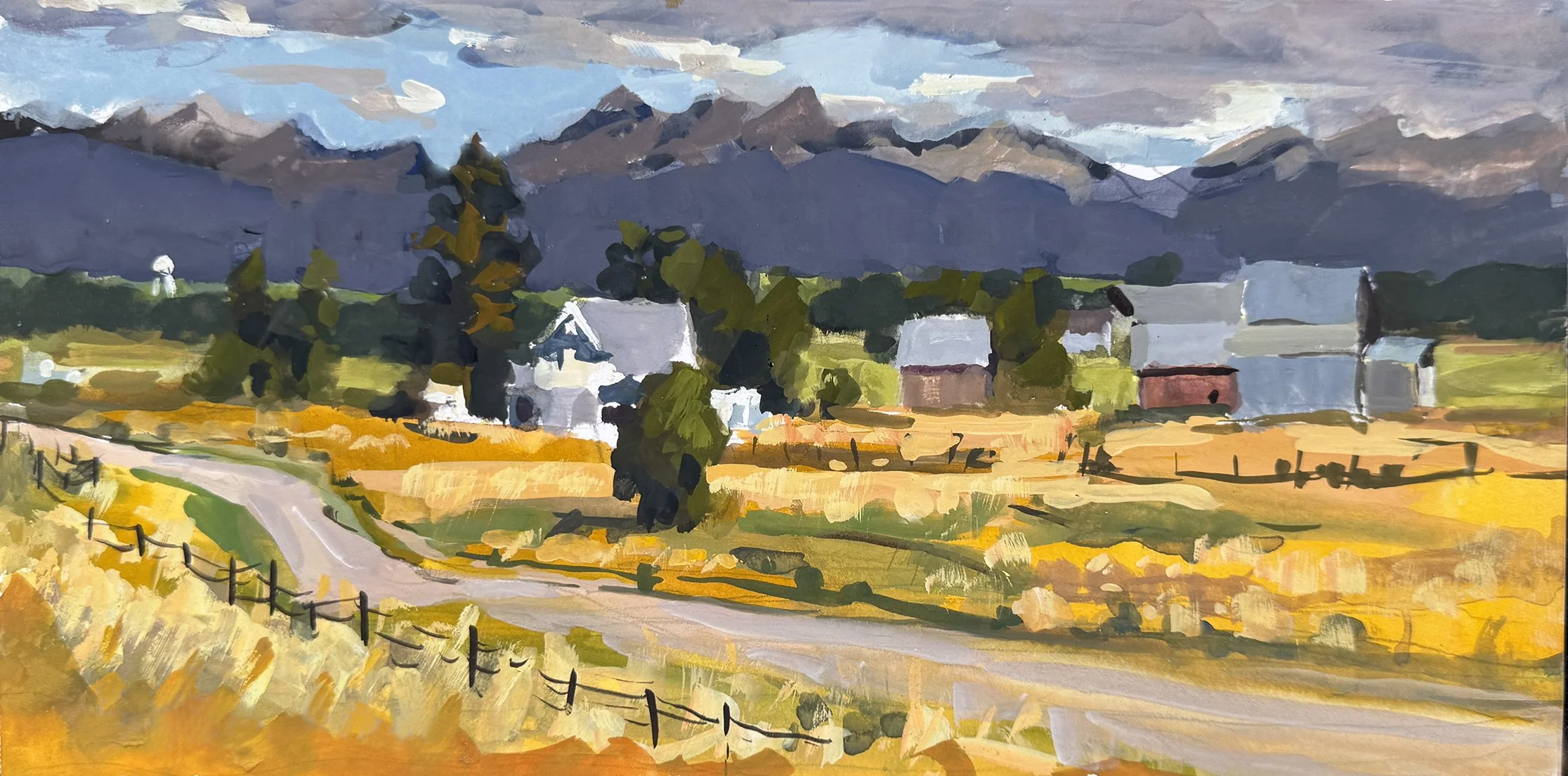 Montana-Gold.jpg