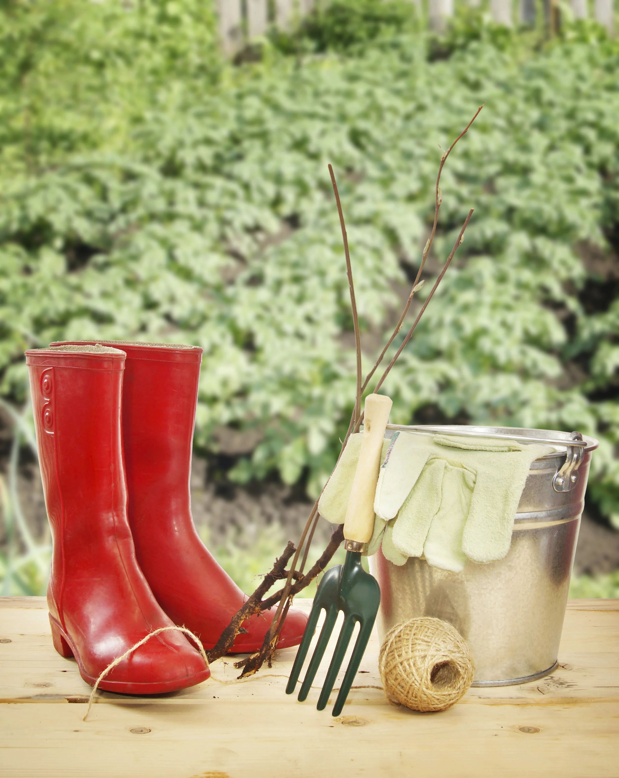 GREEN THUMB MAIN PICTURE.jpg