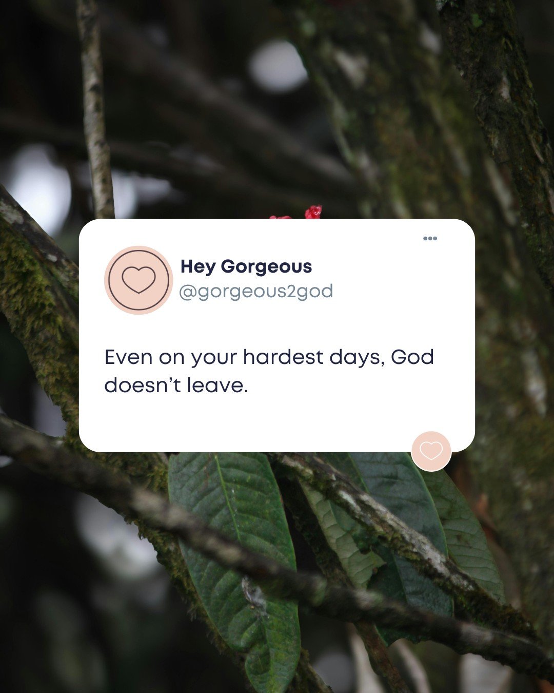 If today feels heavy, this is for you 💗 Even on your hardest days, God doesn&rsquo;t leave. You&rsquo;re still held, still seen, still cared for 🌸✨
#Gorgeous2God #G2G #SoftFaith #GodIsWithYou #FaithReminder