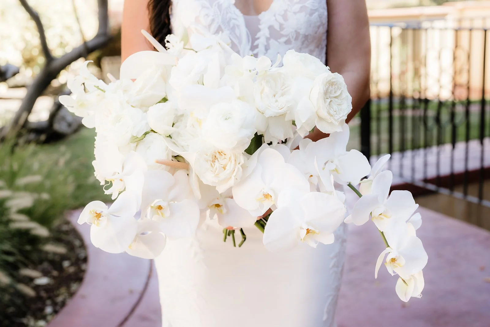 Photography by Gold Dust Photography, Wedding Venue - Airola Road Vineyards