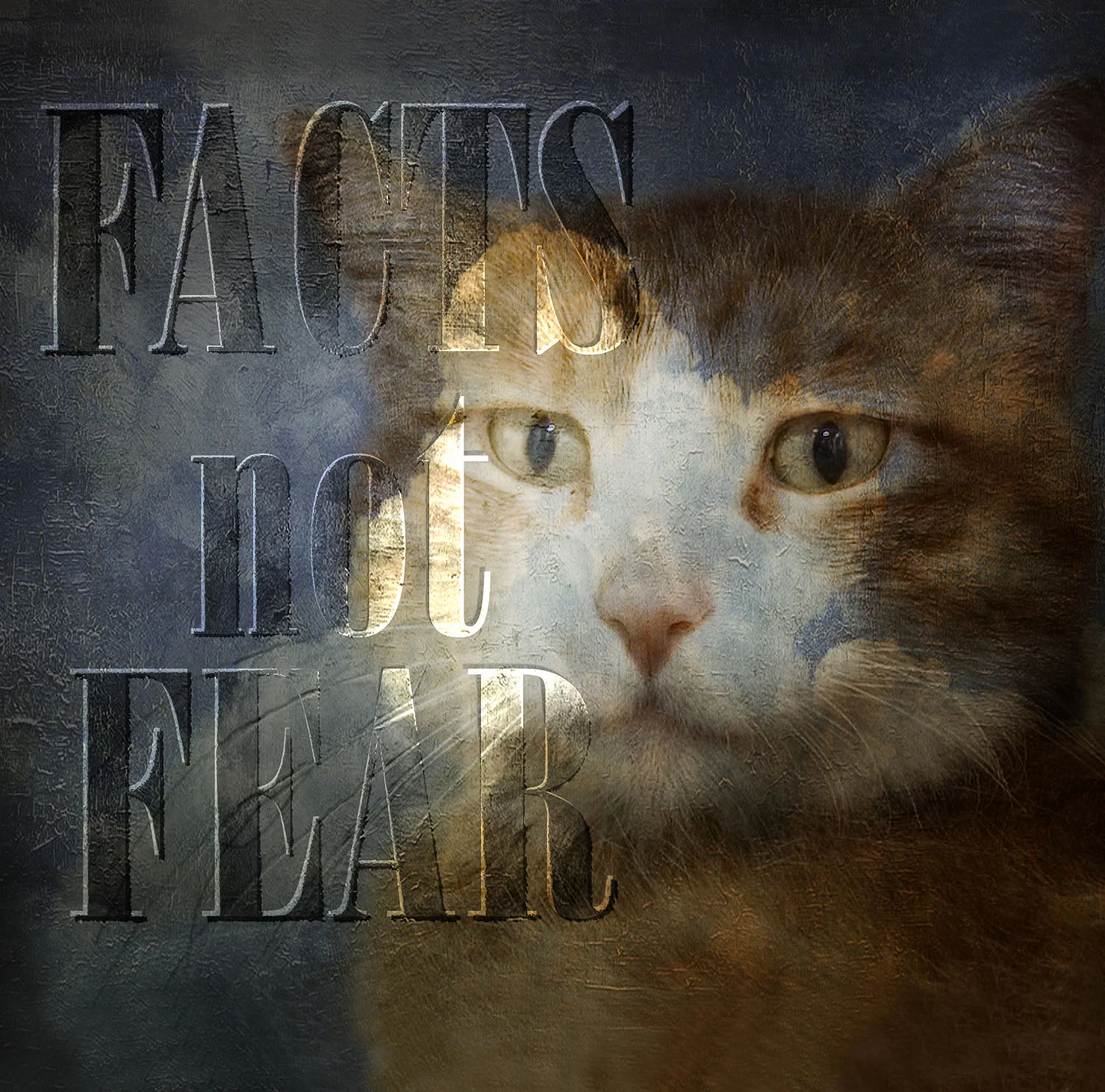 Facts not Fear
