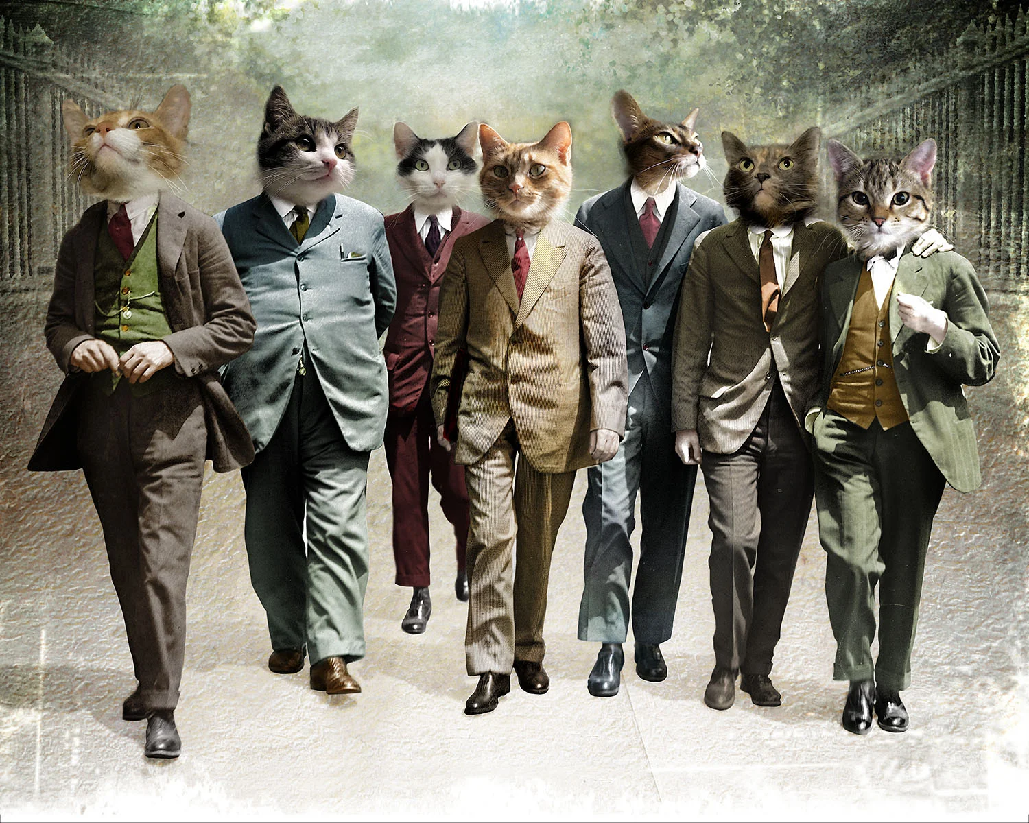 The Magnificant Seven