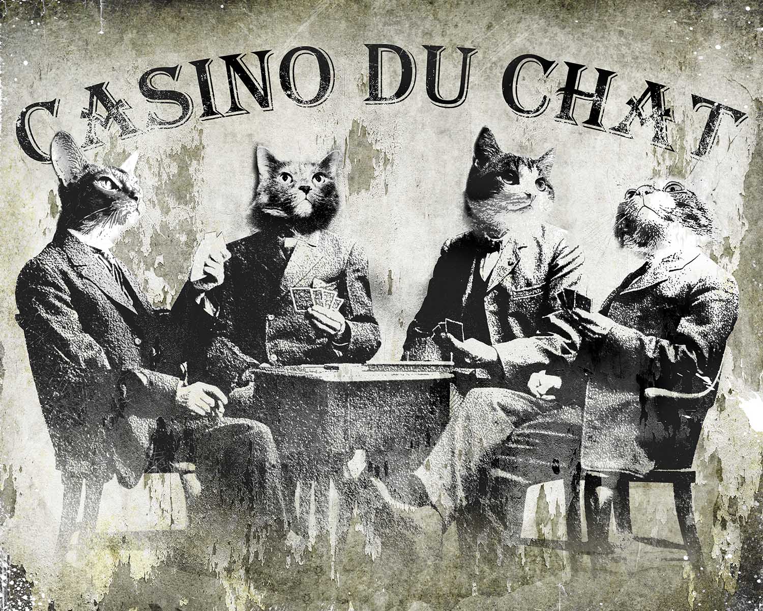 Casino Du Chat